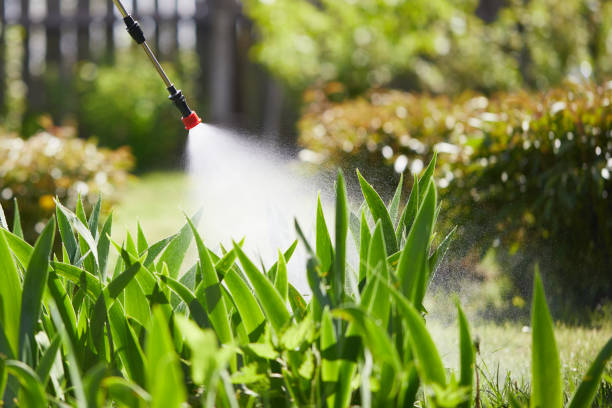 Tamper-Resistant Bait Stations for Rodents in Post