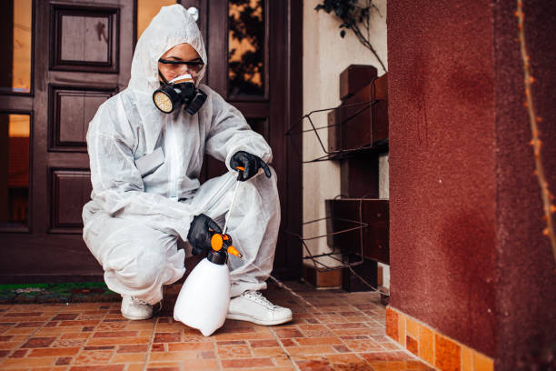 Attic and Crawl Space Rodent Treatment in Post