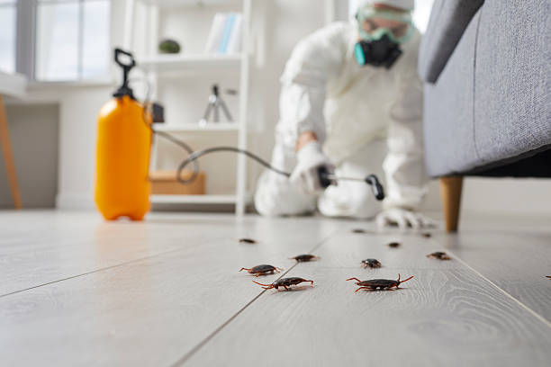 Commercial Rodent Management in Post